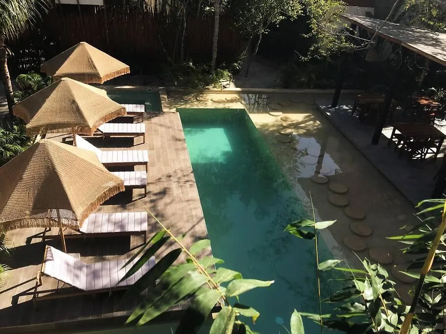 Lejlighed Luxury Penthouse Studio With Private Rooftop & Pool Tulum Mexico