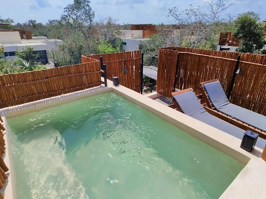 Luxury Penthouse Studio With Private Rooftop & Pool Tulum Mexico
