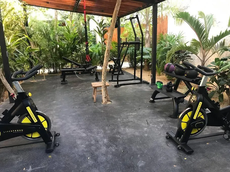 Luxury Penthouse Studio With Private Rooftop & Pool Tulum Mexico